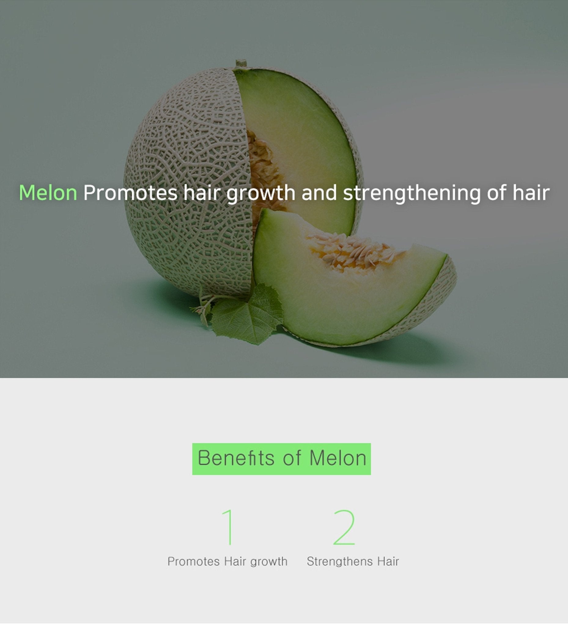 HAU Professional Mango Shampoo for Dry Damaged Hair 12 fl oz - Adrasse Cosmetics
