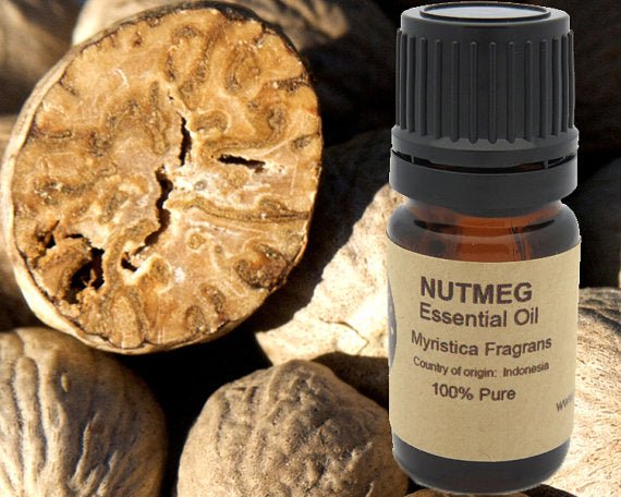 Nutmeg Essential Oil 15ml - Adrasse Cosmetics