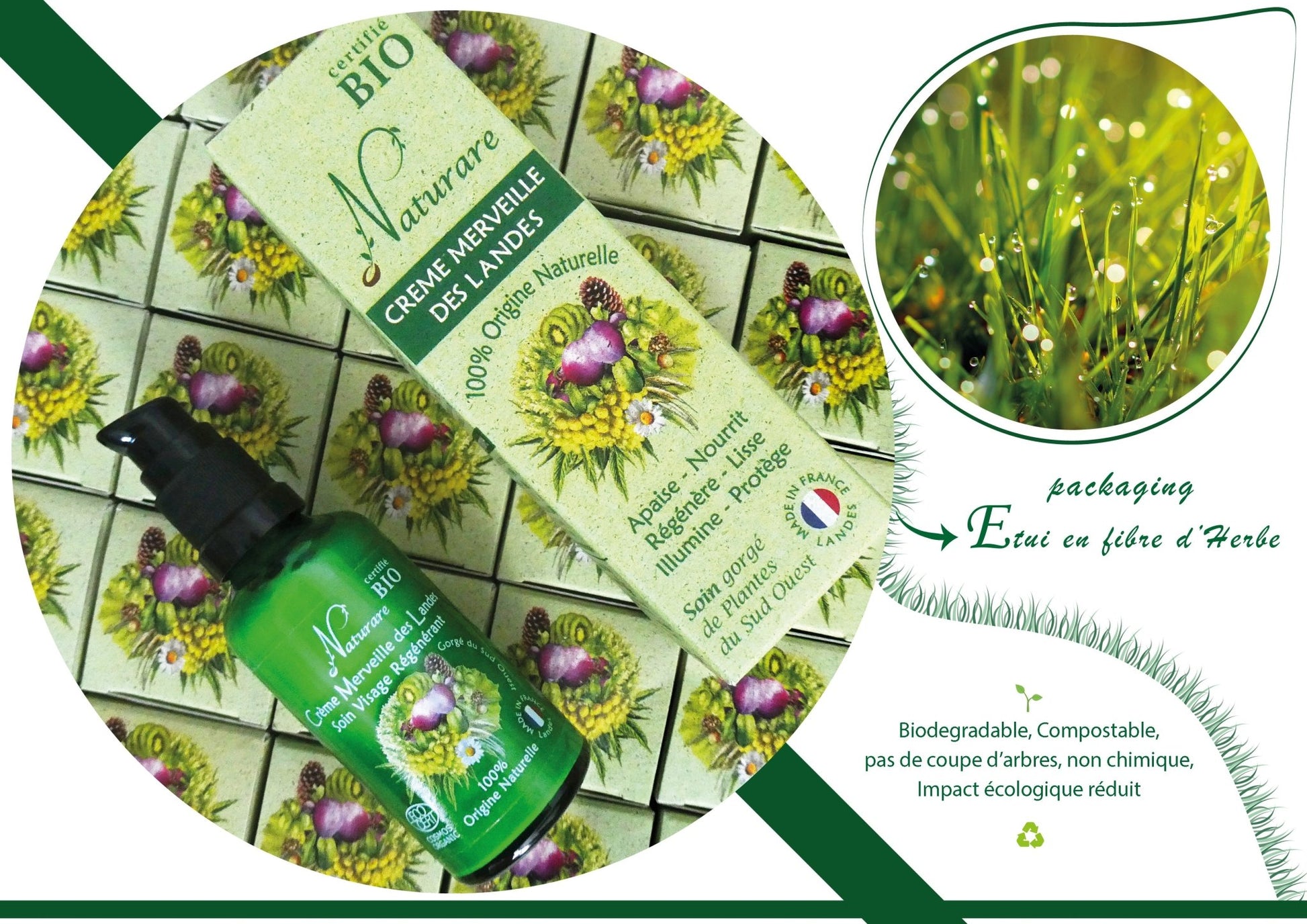 Organic Wonder Cream of French Landes, Integral Regeneration Nutrition - Adrasse Cosmetics